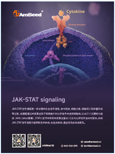 产品手册 | JAK signaling